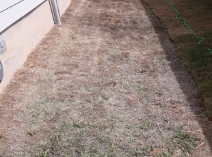 Weeding by Gregory Kluetz for Subria W. in San Antonio, TX