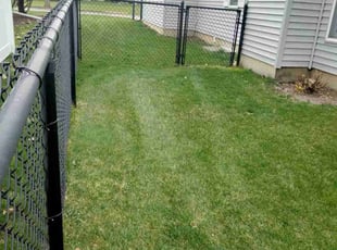 Leaf Removal by Jose Perez for Sam L. in Wheeling, IL