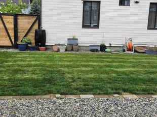Ed S.'s Lawn Mowing Service service result