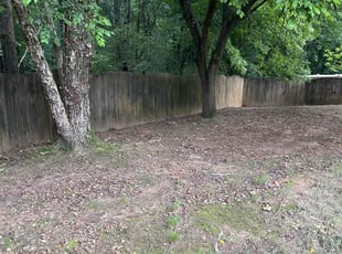 Weeding by Xavier Haygood for Jan A. in Madison, AL