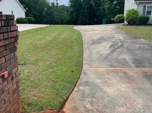 Allan R.'s Lawn Care service result