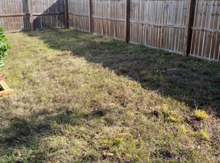 Leaf Removal by Rupert Mclendon for Trent P. in Tampa, FL