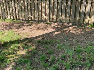 Cleanups by Ariana Dukes for Yalonda H. in Columbus, OH