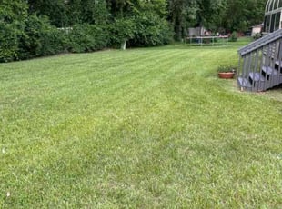 Gail G.'s Lawn Service service result