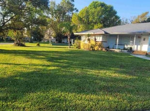 Mikki T.'s Lawn Mowing Service service result