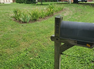 Weeding by Alfredo Vega for Mary L. in Richmond, VA