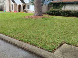 Petrina M.'s Lawn Maintenance service result