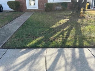 Lisa M.'s Lawn Mowing Service service result