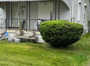 Bush Trimming by Steve Bergman for Eddrena G. in Detroit, MI
