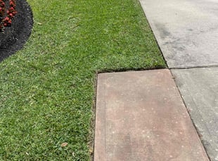 Jennifer H.'s Lawn Care service result