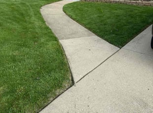 Stella I.'s Lawn Maintenance service result