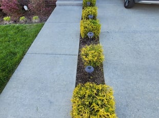 Bush Trimming by Alan Sessanna for Kendall C. in Hendersonville, TN