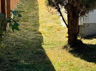 Michelle U.'s Lawn Care service result
