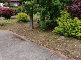 Cleanups by Marydonna Barkley for M B. in Federal Way, WA