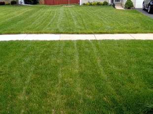 Teresa G.'s Lawn Care service result
