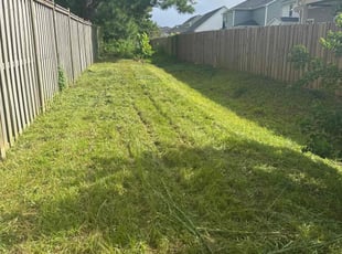 Cleanups by Shane Digon for Hilaire T. in Wilmington, NC