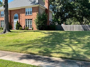 Surendra M.'s Lawn Mowing service result
