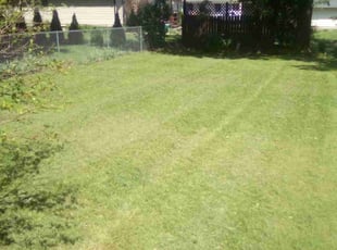 Kenan S.'s Lawn Mowing Service service result