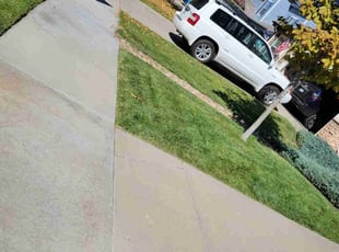 Andrew C.'s Lawn Mowing service result