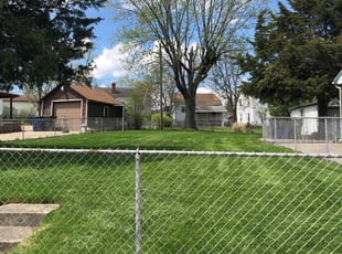 Alexandra C.'s Lawn Mowing service result