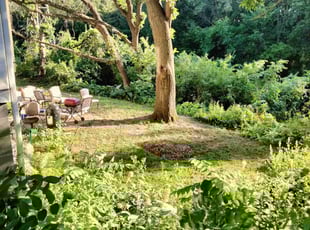 Bush Trimming by Alan Bjerke for Evan J. in Minneapolis, MN