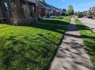 Thomas R.'s Lawn Service service result