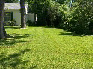 Belinda N.'s Lawn Service service result