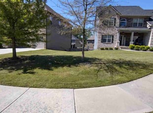 Trey M.'s Lawn Care service result