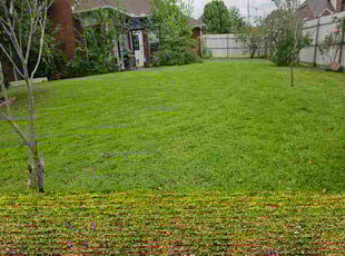 Ned K.'s Lawn Mowing Service service result