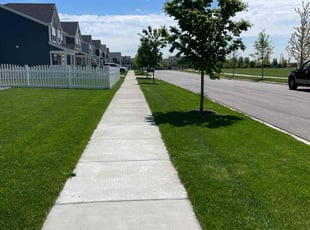 Tammy W.'s Lawn Care service result