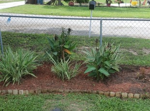 Weeding by Richard Rhoden for Jon R. in Lake Wales, FL