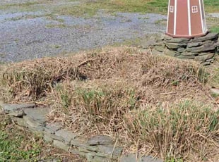 Bush Trimming by Truman Mason for Shawn F. in Ocean View, DE