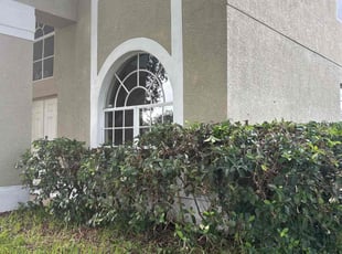 Bush Trimming by Cheryl Badger for Jaime W. in Odessa, FL