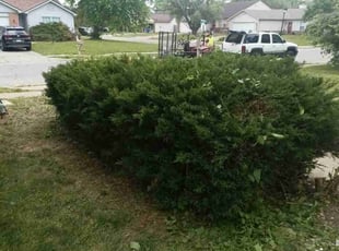Cleanups by Joshua Jordan for James C. in Indianapolis, IN