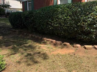 Bush Trimming by Ayana Wise for Linda H. in Conyers, GA