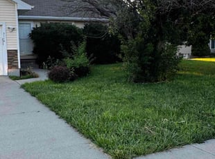 Bush Trimming by Ryan Braland for Lelia A. in Ankeny, IA