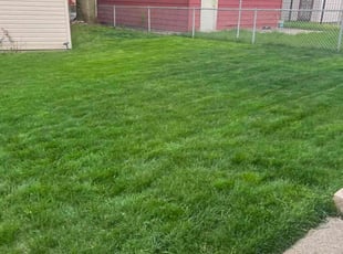 Linda H.'s Lawn Mowing service result