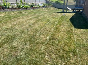 Yvonne H.'s Grass Cutting service result