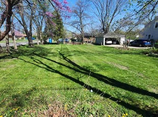 Adam B.'s Lawn Maintenance service result