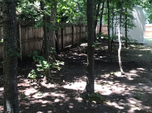 Leaf Removal by Lavell Tucker for Wayne L. in Chester, VA