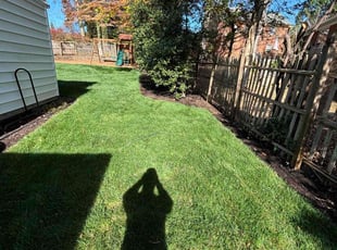 Lucinda F.'s Yard Cutting service result