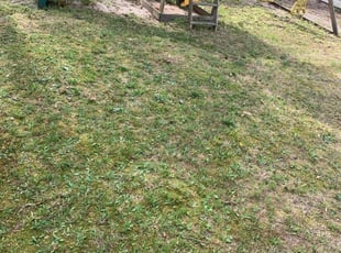 Leaf Removal by Abigail Soriano for Michael B. in Brick Township, NJ