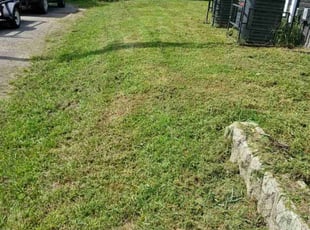 Hillary R.'s Lawn Maintenance service result