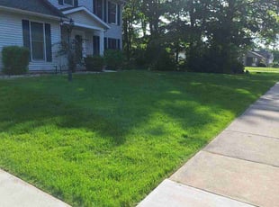 Roberta S.'s Lawn Maintenance service result
