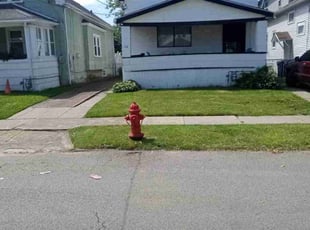 Priscilla B.'s Lawn Maintenance service result