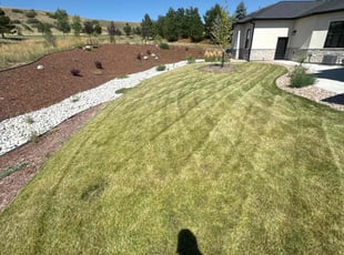 Thomas C.'s Lawn Service service result
