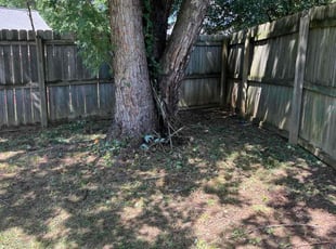 Cleanups by Marcos Lopez for Jordana V. in Kennesaw, GA