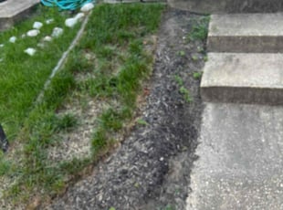 Weeding by Edwin Bidot for Sierra D. in Waldorf, MD