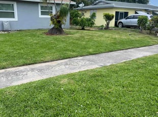 Sandy c.'s Lawn Care service result
