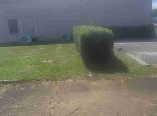 Bush Trimming by Shawn Mcdonald for Robert T. in Milton, FL